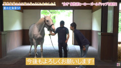 【小ネタ・画像】ゴルシって言葉理解してるよね　他ウマ娘・競馬小ネタまとめ