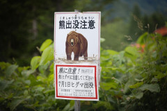 【速報】徳島・後藤田知事、北海道への修学旅行「クマ出たら終わり」「韓国等、海外を推奨」