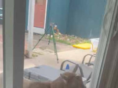 田舎の農家に泊まっていた。…ファッ！？ → 窓の外に現れた彼はこうします…