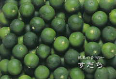 【悲報】香川「うどんって言えばうどん県」高知「カツオなら我が県」愛媛「うちはミカンが有名ですし」徳島「...」ｗｗｗｗｗｗｗｗｗｗ