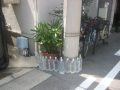 【悲報】家の敷地内に水の入ったペットボトル置いてる奴人間性疑うわ