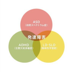 【朗報】発達障害さん、30歳でまともな成人に成長できるｗｗｗｗｗｗ