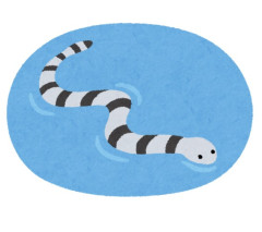 ウミヘビ←謎すぎる生物すぎる