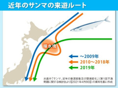 庶民の味方・サンマ　今年は1匹1000円の“高級魚”に　ぜいたくな秋の味覚　深刻な不漁か…見通し立たず　食卓の救世主は“イワシ”1匹120円　[8/26]