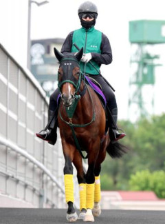 【競馬】スプリンターズS、松山騎手はパンジャタワーに騎乗　スターアニスは誰が乗るんだろ