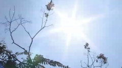 福岡市で初の酷暑日　博多区で40.4℃を観測