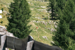 人に何もかも聞かないと登山もできないようなアホは山に向いてねえよ