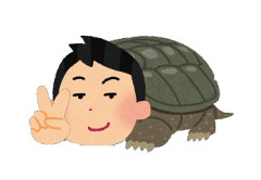 亀とか言う防御に全振りしてる動物