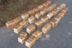 【鳥取】大山の国立公園に食パン39キロを点々と投棄　石原環境相「クマ誘引、危険な行為」