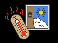 【悲報】老害さん「昔は30℃超える日なんてあまりなかった！」←大嘘ｗｗｗｗｗｗｗｗｗｗ