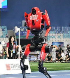 X民「日本製ロボット、ゴミすぎ恥ずかしいw」← 中国人「！？！」ｼｭﾊﾞﾊﾞﾊﾞﾊﾞﾊﾞﾊﾞﾊﾞ