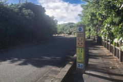 【悲報】鳥取・大山の県道に『とんでもない物』が150メートルにわたりバラ撒かれる。一緒に『鳥の内臓』も見つかりガチで不気味すぎる・・・