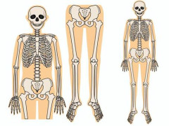 【悲報】素人が無理やり骨折して骨延長→血液に細菌が入って敗血症で絶望的ｗｗｗｗ