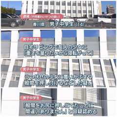 女友達を自宅に呼ぶことに成功した男子中学生、性欲に負けて全てを失う