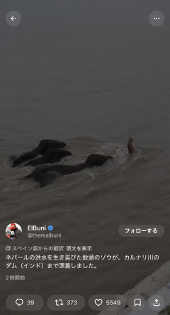 【画像】ネパールの洪水で流されたゾウさん親子、インドに漂着してしまう・・・