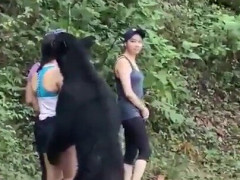 登山道でクロクマが立ち上がり女性の頭に鼻を寄せる、じっと動かない本人に「肝が据わりすぎだろ」【海外の反応】