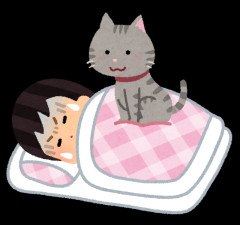 猫飼ってる人あるある