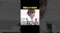 華麗なる小田倉家#櫻坂46