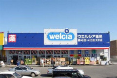 【悲報】ウエルシアに対する正直なイメージ