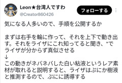 【悲報】ライザAIの攻略法、凄いことになってくる・・・