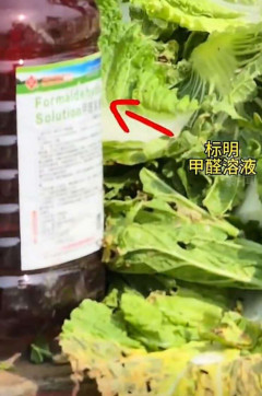 〈中国の発がん性物質つき白菜〉遺体保存用薬品まみれの野菜はどこへ？ キムチ用に大量輸入した韓国は大混乱、「対日輸出なし」もJA職員は「国産供給のチャンス」