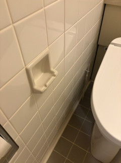 【画像】女子高生「トイレに変なのあった…何コレ？」ﾊﾟｼｬｯ