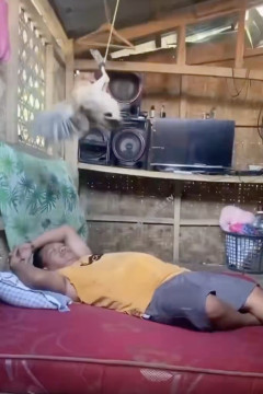 【画期的】タイのおじさん、新しい扇風機を思い付く