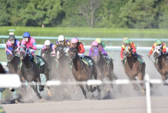 ルメール騎手「日本では競馬が野球に次ぐ人気2位のスポーツなんです！」