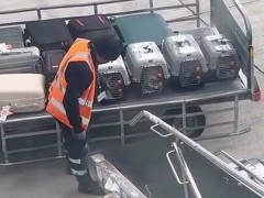 貨物室に積まれる前の猫たちに、荷物係が一つずつ手を当てて回る「確認は義務でも、振り返って声をかけるのは義務じゃない」【海外の反応】