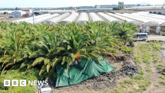 【海外の反応】韓国のリゾート島で遺体発見、警察官がウソ報告で捜査打ち切り…職務放棄疑いで逮捕 → 「ただの怠慢だったのか？」「臓器売買にかかわってた説」
