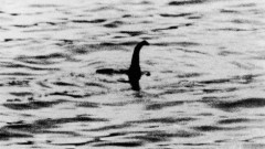 ネス湖のネッシー、マジで凄いことになっていた・・・