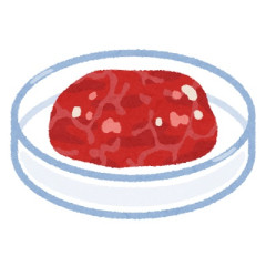 「牛の培養肉」来年１月にも試験生産開始へ、「本物に近い形状」生産ラインは世界初