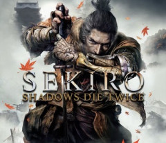 映画もうすぐやるしPC版のSEKIRO買って数年ぶりにやり直してるんだけど