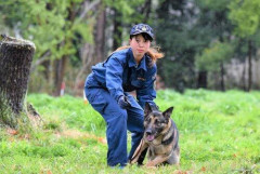 【悲報】犬のしつけ士「見習い募集します！対象は18歳～27歳の女性のみです！」