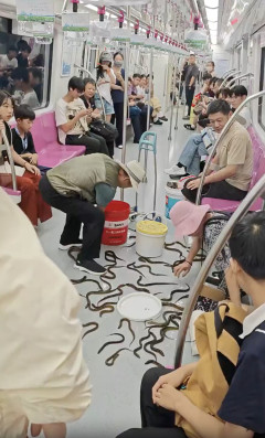 【画像】中国人さん、電車の中でウナギをこぼしてしまい終わるｗｗｗｗｗｗｗｗ