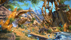 【FF14】新生のマップって今見てもよく作り込まれているよな