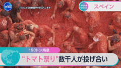 スペインのトマト祭り、今年も開催