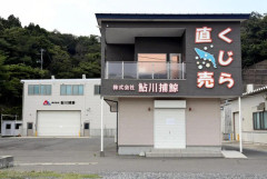 クジラ肉「不味い」「牛豚が無かった時代のもの」…商業捕鯨再開も20万トンから2000トンに激減
