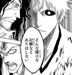 【BLEACH】斬月！これは！？