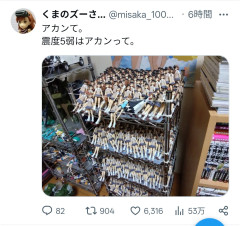 【画像】フィギュアオタクさん「震度５弱はアカンって…」