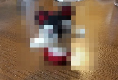 ワイの作った羊毛のセイレーンちゃん見て
