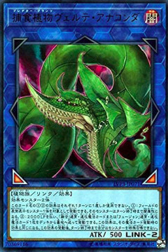 【遊戯王】「アナコンダ」を禁止にすれば全て解決するのでは？