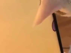 画面に映る猛獣がそこから消えた。まさかこっちの世界へ移動した？ → 彼はこうなった…