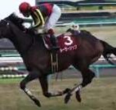【競馬】癖になってるんだ 出遅れるの