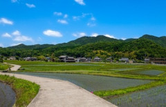 【地方移住】田舎の農家だけど、田舎移住を考えている人々に言いたい