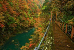 【悲報】秋田県⇦ここに行く理由ある?・・・・・・・・・