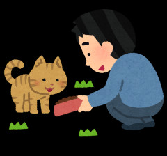 家の駐車場でバイクをいじってたら野良猫が数匹、衰弱した子猫を連れてきてかなりの圧で私に「面倒見て」と言わんばかりに預けていった。