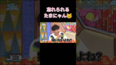 先輩から負け顔を引き継ぐ石塚瑶季 #日向坂46 #日向坂で会いましょう