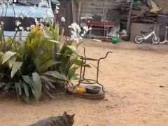 プロのハンターが獲物を狙っていた。…ちょ、今は仕事中だ邪魔すんな！ → 気にしないヤツがやってきた…