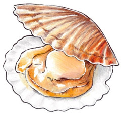 【画像】こういうざっかけない直売店で食えるホタテバーガーｗｗｗｗｗ